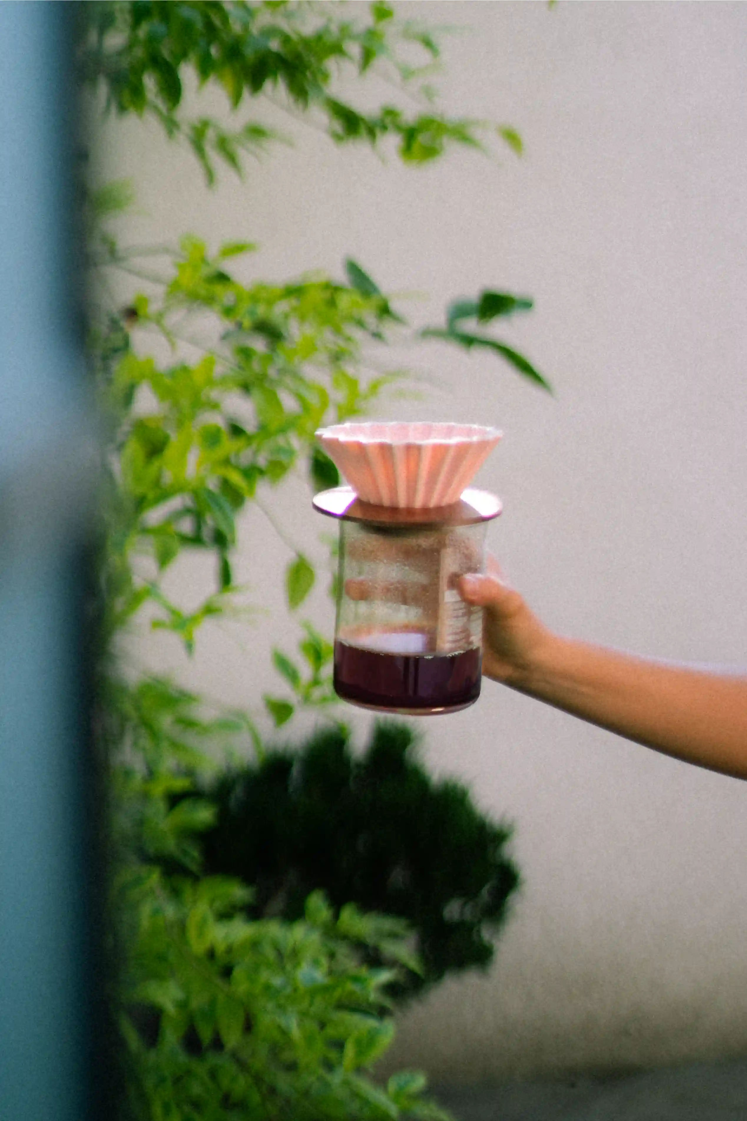 Colaboración con cafeterías